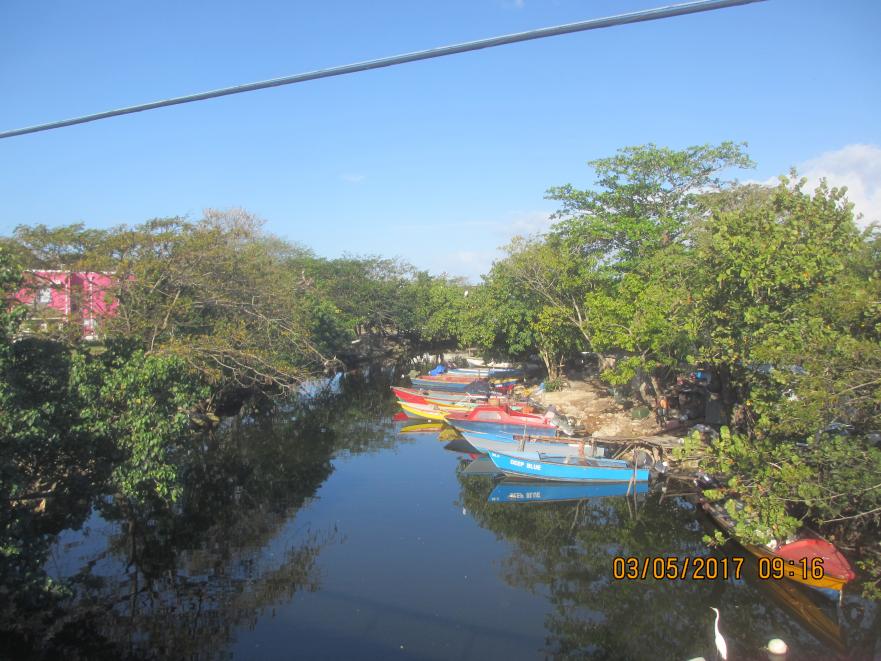 Name:  011.jpg
Views: 1031
Size:  96.7 KB