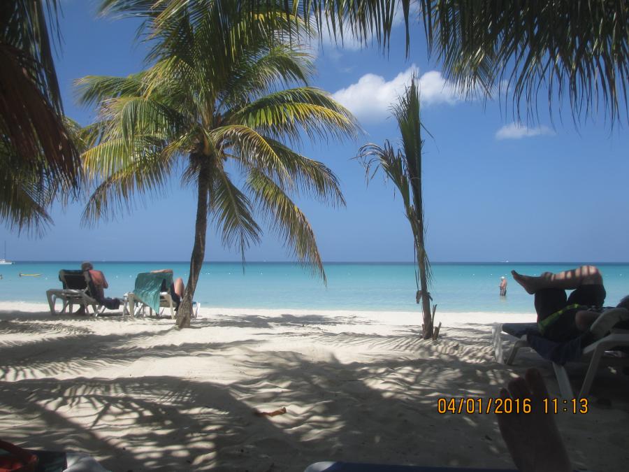 Name:  021.jpg
Views: 770
Size:  95.5 KB