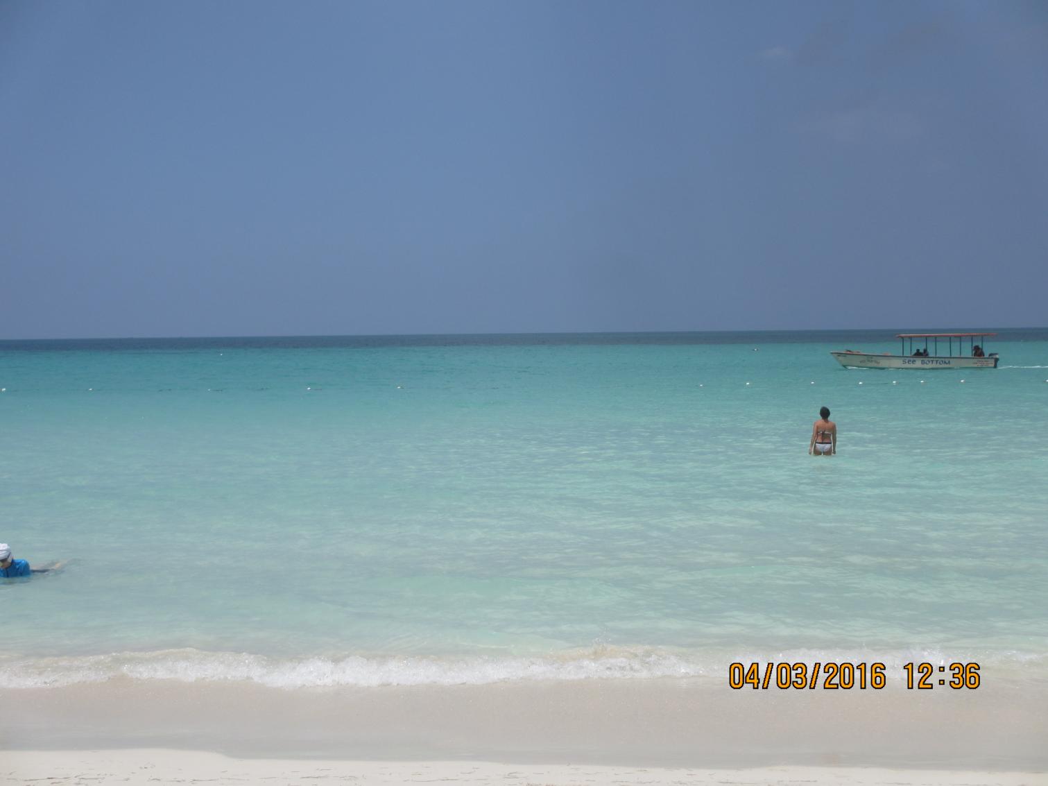 Name:  030.jpg
Views: 1106
Size:  86.0 KB