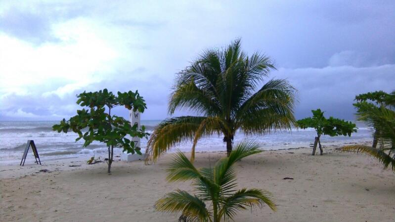 Name:  IMG_20171210_143618.jpg
Views: 886
Size:  48.5 KB