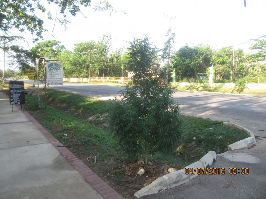 Name:  054.jpg
Views: 1140
Size:  96.9 KB