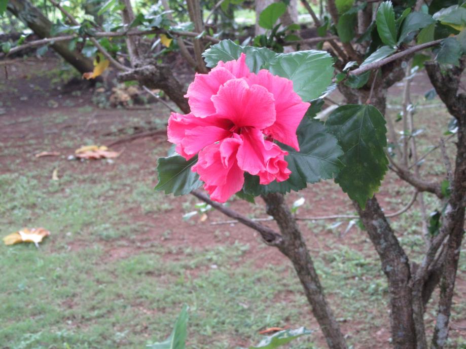 Name:  20171214130633_1.jpg
Views: 538
Size:  92.2 KB