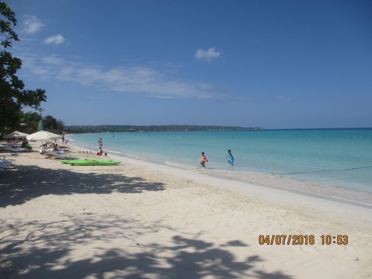 Name:  062.jpg
Views: 602
Size:  86.0 KB