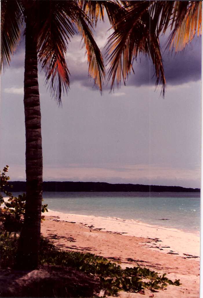 Name:  Beach.jpg
Views: 789
Size:  70.4 KB