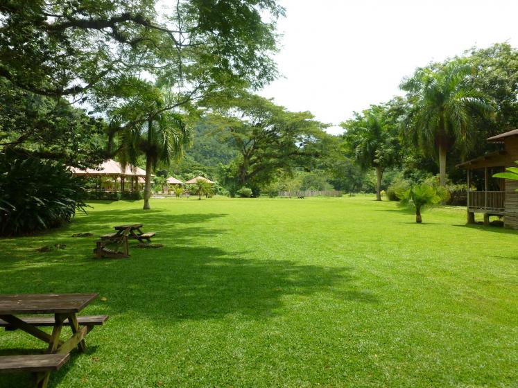 Name:  YS Field before Falls.jpg
Views: 507
Size:  97.0 KB