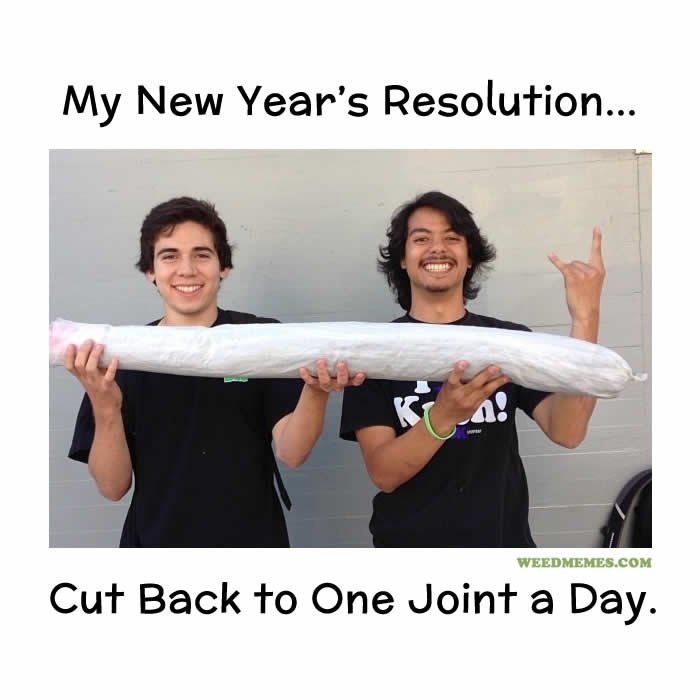 Name:  420-new-year-resolution-weedmemes.jpg
Views: 395
Size:  37.1 KB