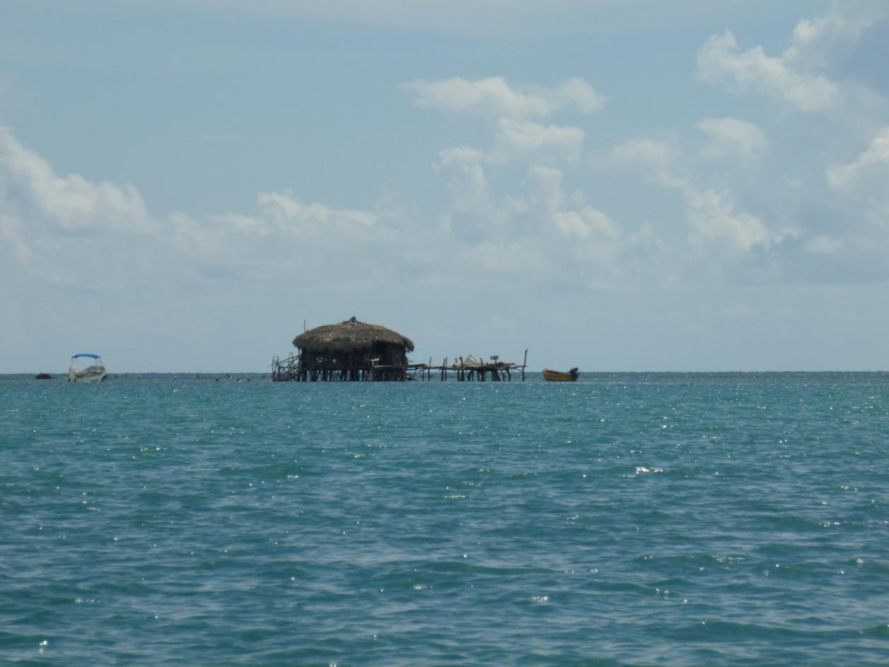 Name:  pelican.jpg
Views: 522
Size:  83.2 KB