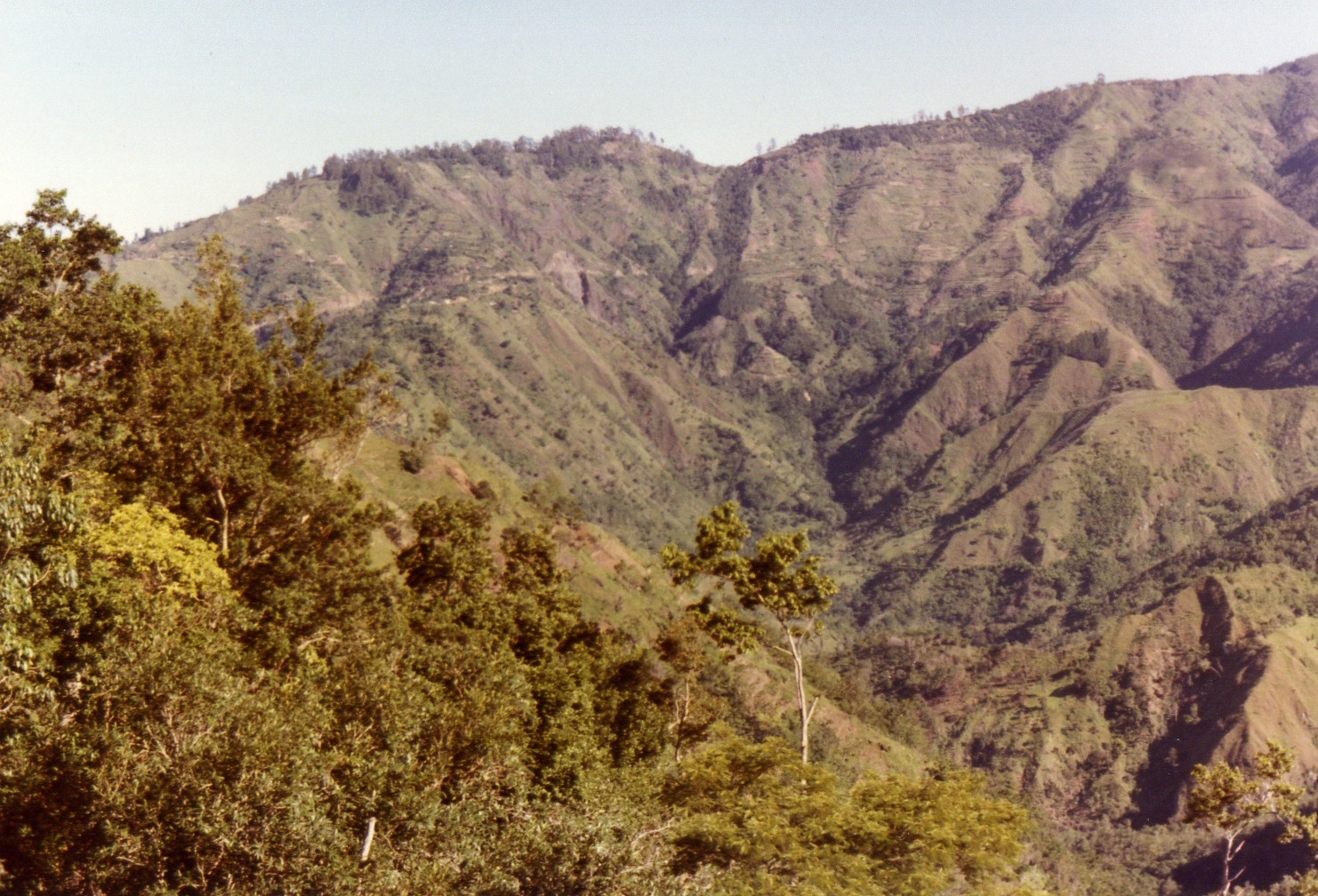 Name:  High Country.JPG
Views: 535
Size:  989.0 KB