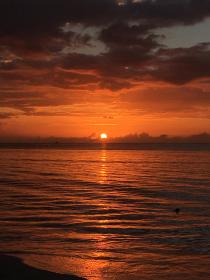 Name:  F4F3CD25-6D97-4A70-A2D0-0C2CD3BC9306.jpg
Views: 558
Size:  10.0 KB