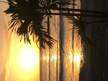 Name:  398333A0-06D0-4501-89A1-5773A8C10996.jpg
Views: 555
Size:  19.9 KB