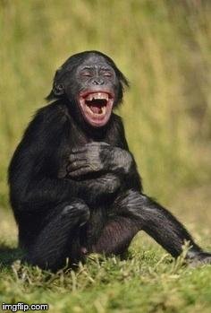 Name:  laughing chimp.jpg
Views: 523
Size:  14.9 KB