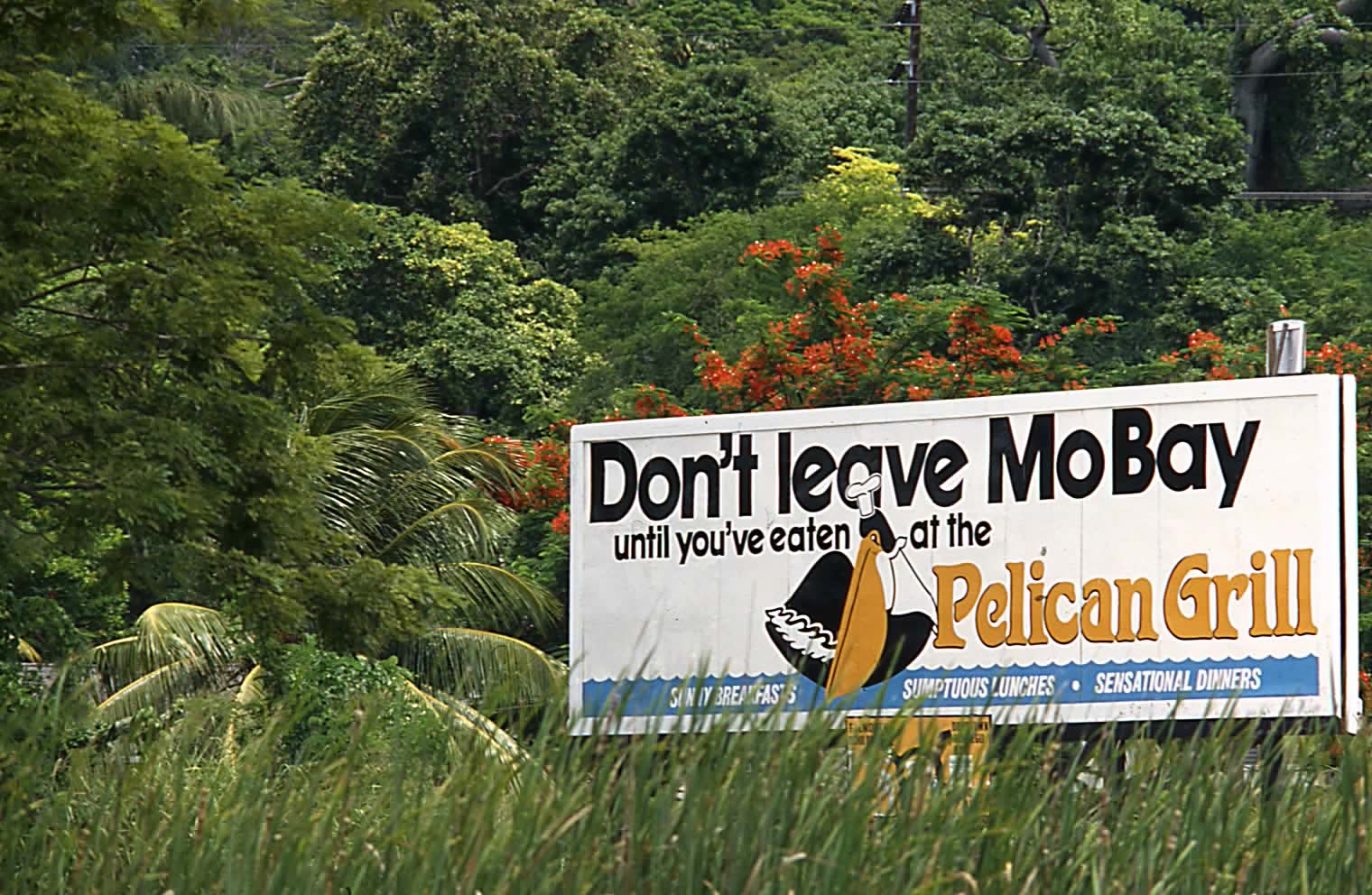 Name: mobay.JPG
Views: 619
Size: 816.0 KB