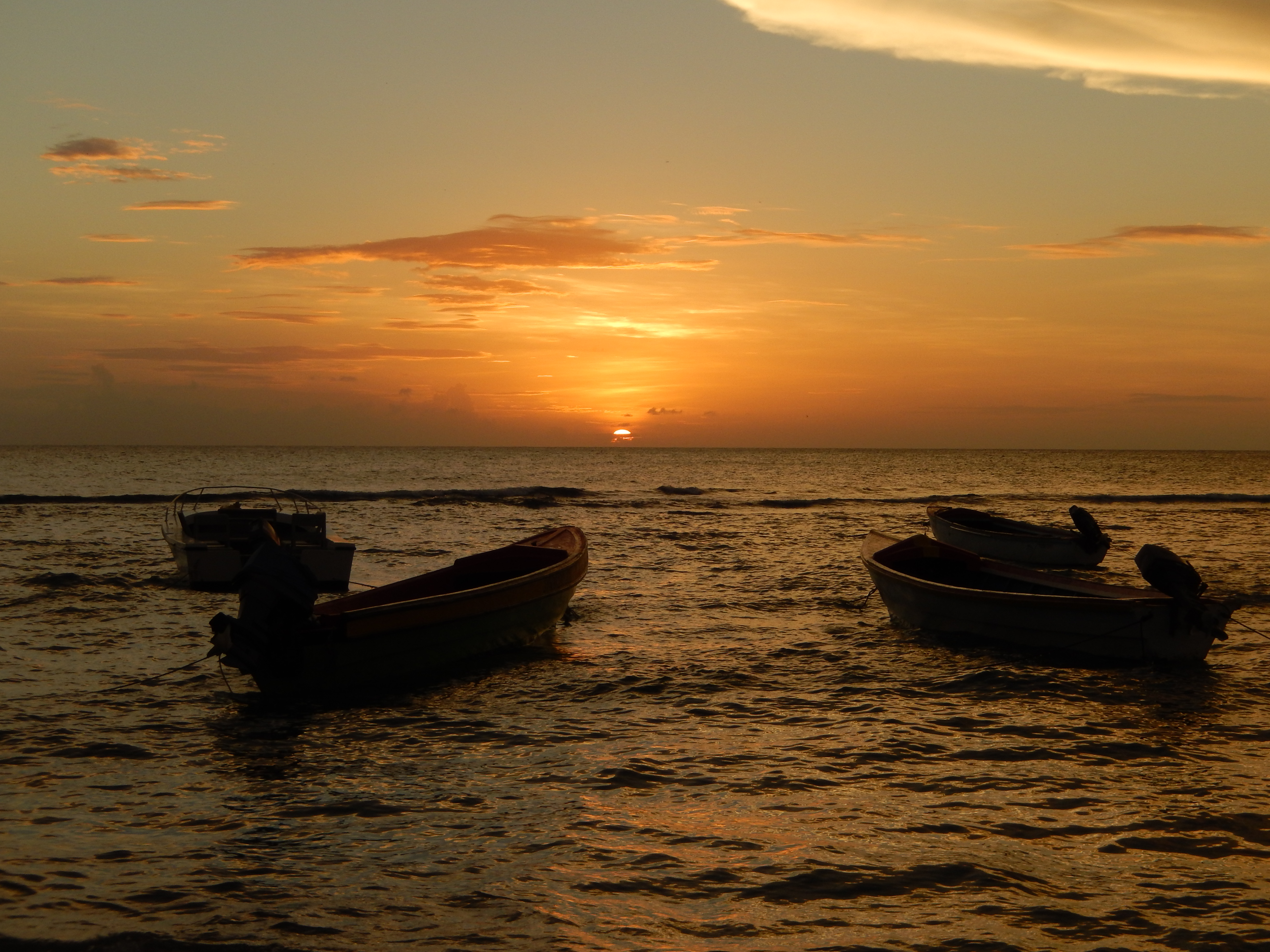 Name:  Jamaica 11-11-13 - Treasure Beach - 1290.JPG
Views: 5257
Size:  3.41 MB