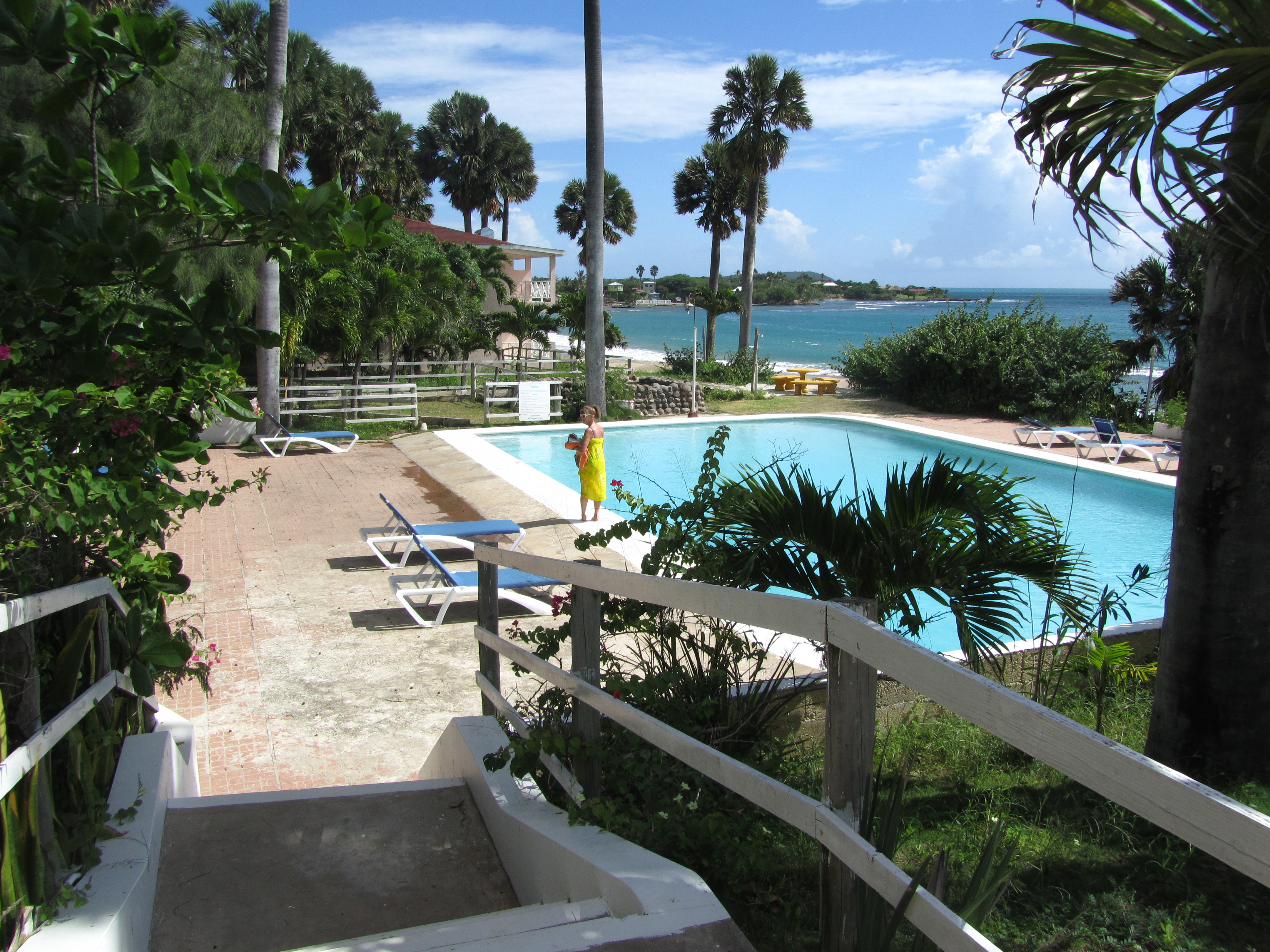 Name:  Jamaica 11-11-13 - Treasure Beach Hotel - 6083.JPG
Views: 1535
Size:  3.89 MB