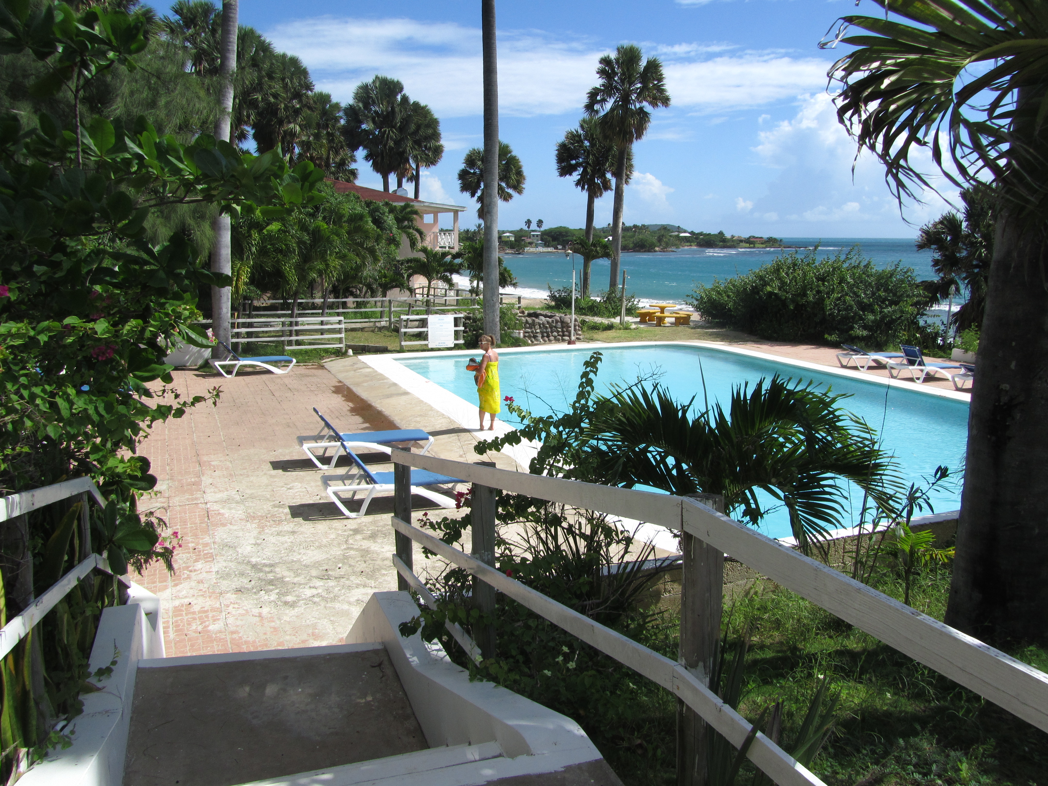 Name:  Jamaica 11-11-13 - Treasure Beach Hotel - 6083.JPG
Views: 4110
Size:  3.89 MB