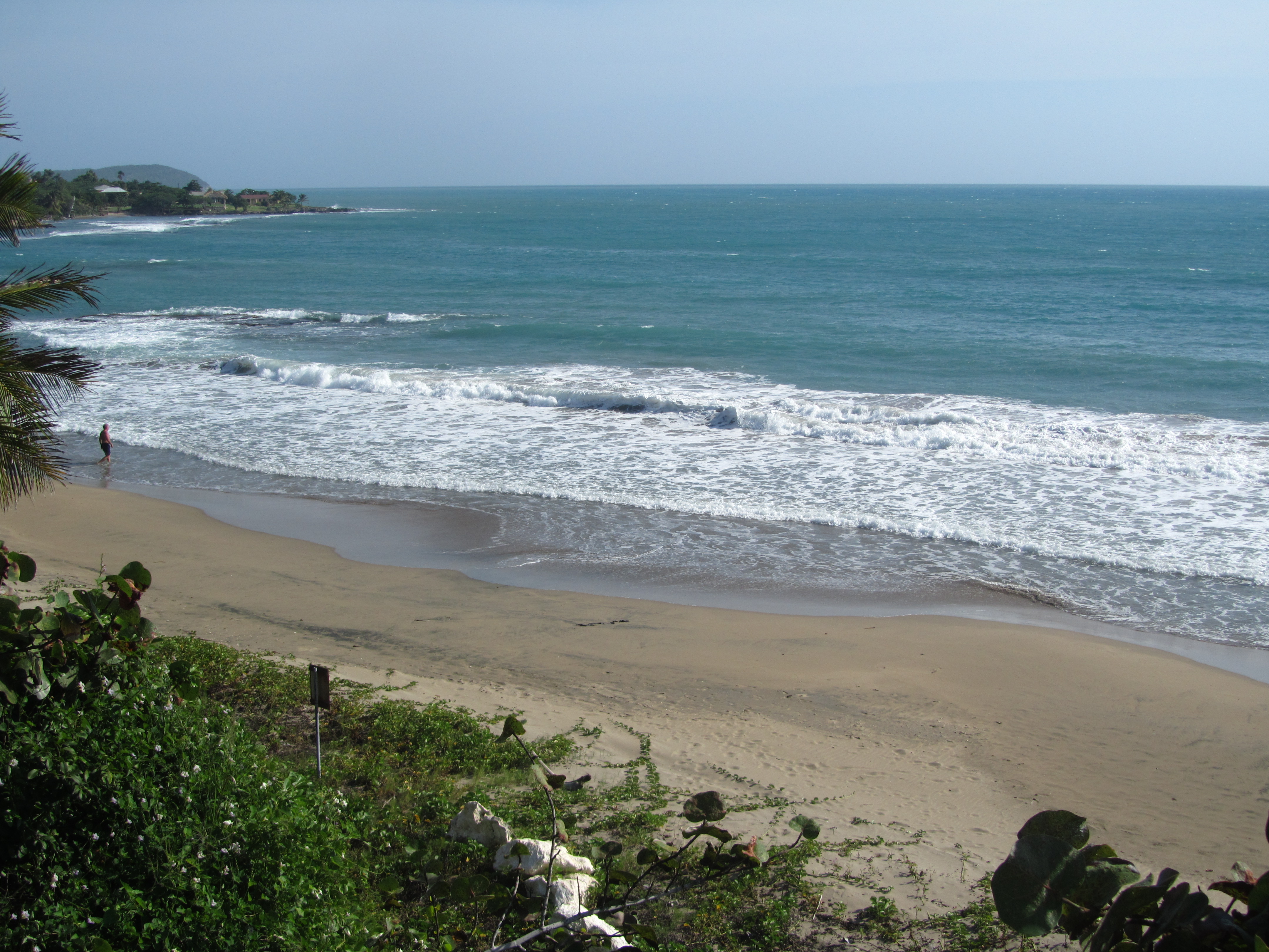 Name:  Jamaica 11-14-13 - Treasure Beach - 6286.JPG
Views: 1685
Size:  3.55 MB