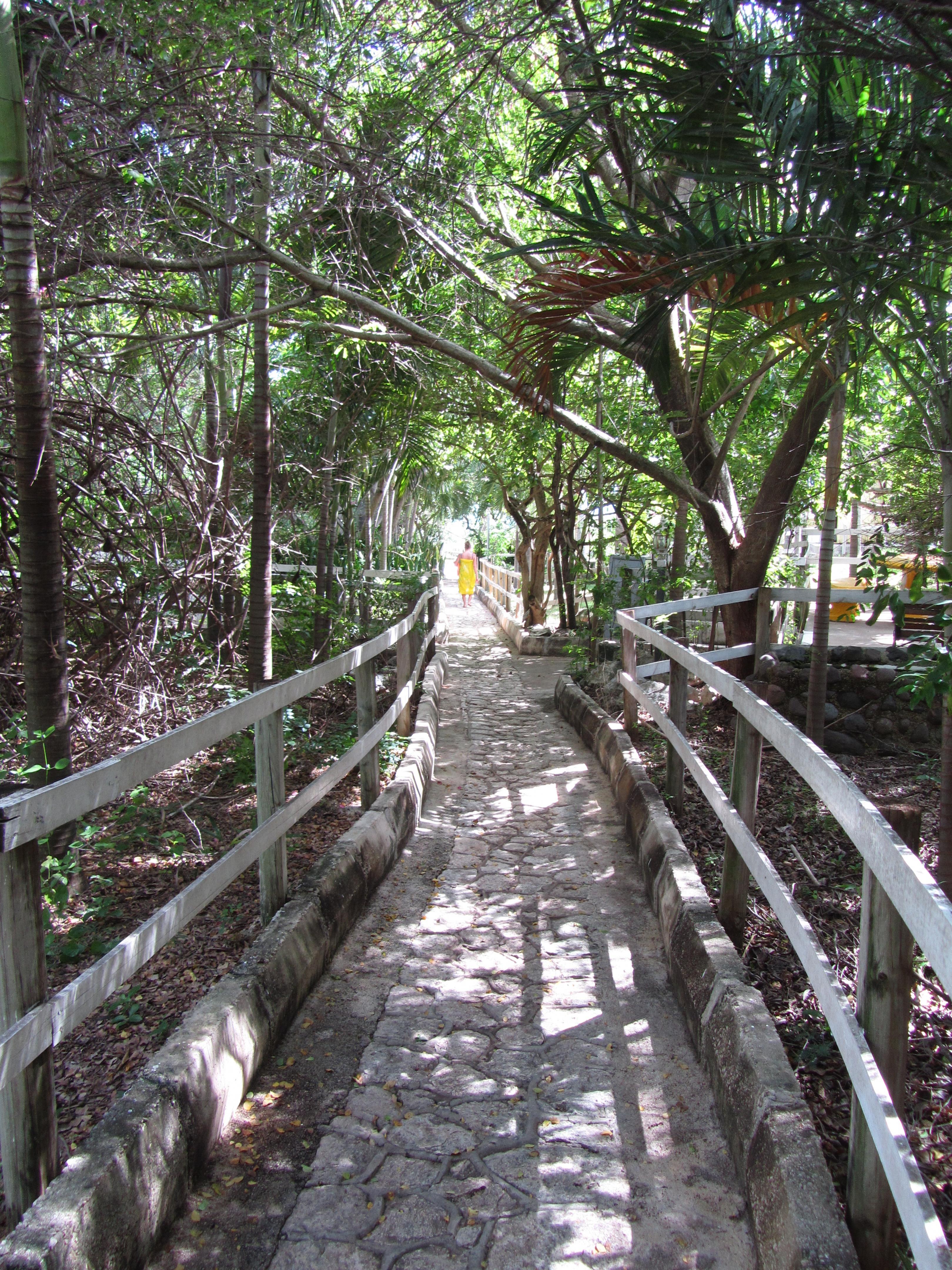Name:  Jamaica 11-11-13 - Treasure Beach Hotel - 6081.jpg
Views: 4417
Size:  2.38 MB