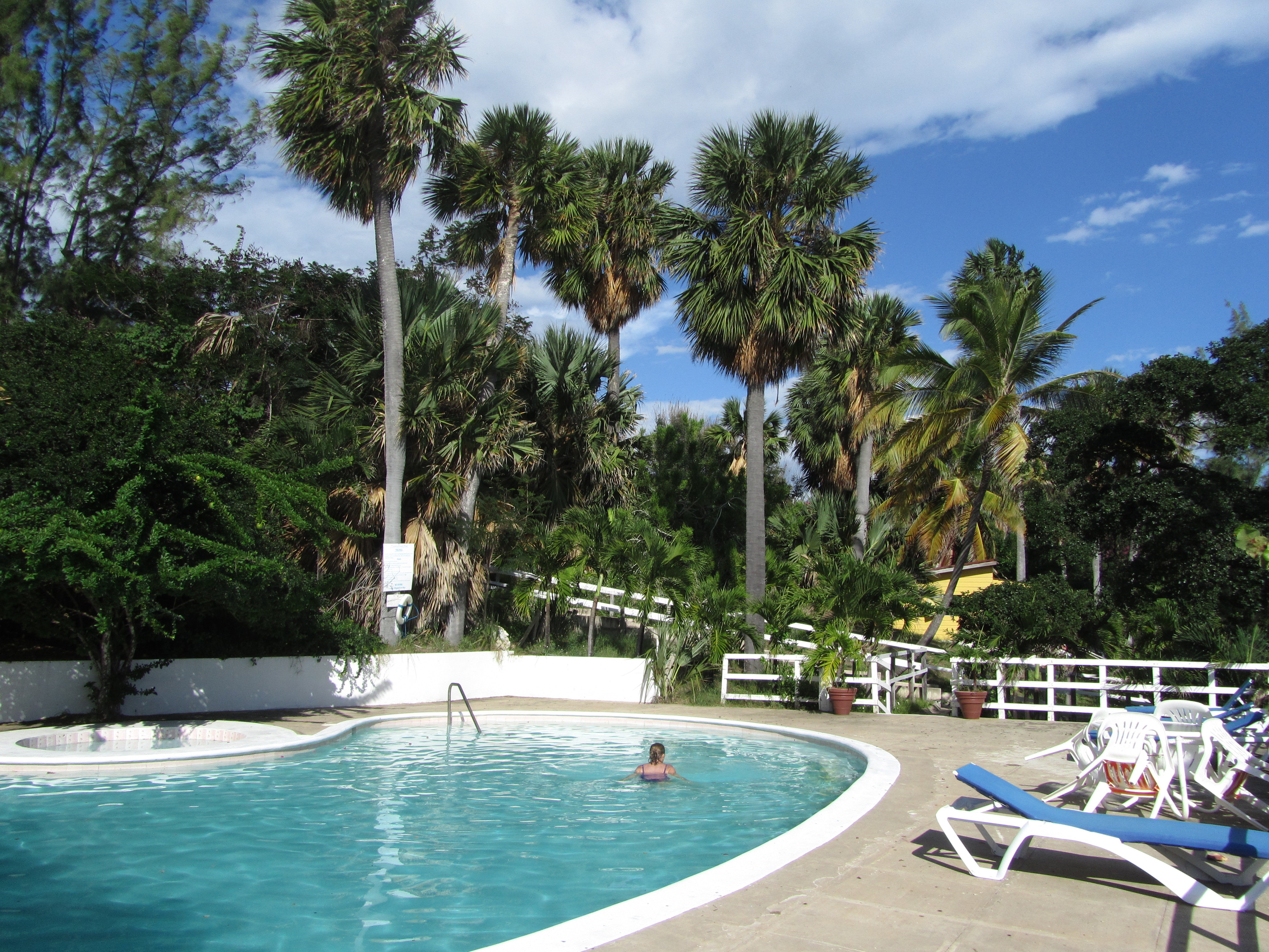 Name:  Jamaica 11-11-13 - Treasure Beach Hotel - 6106.JPG
Views: 2944
Size:  4.28 MB