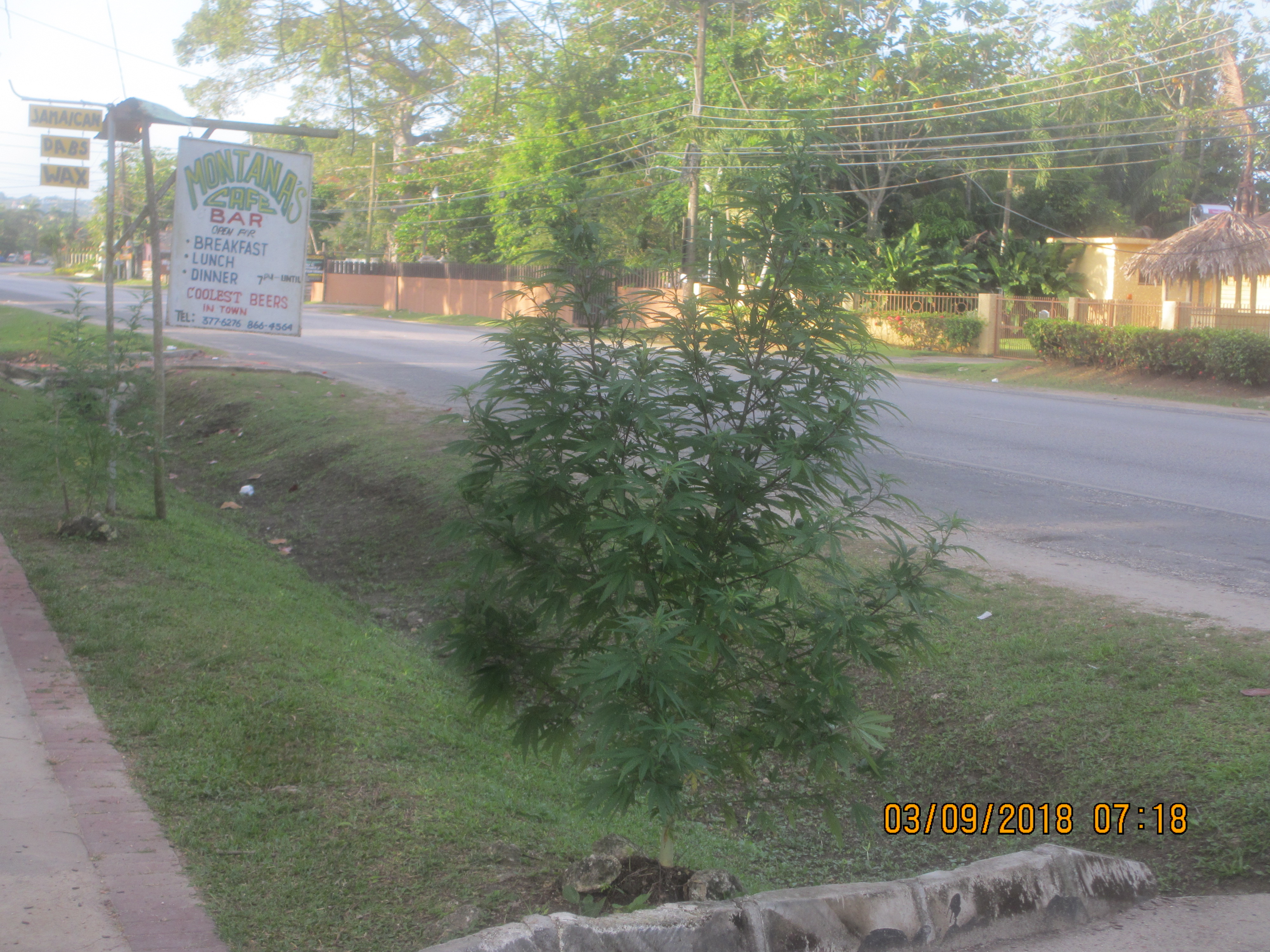 Name:  007.JPG
Views: 1340
Size:  3.20 MB