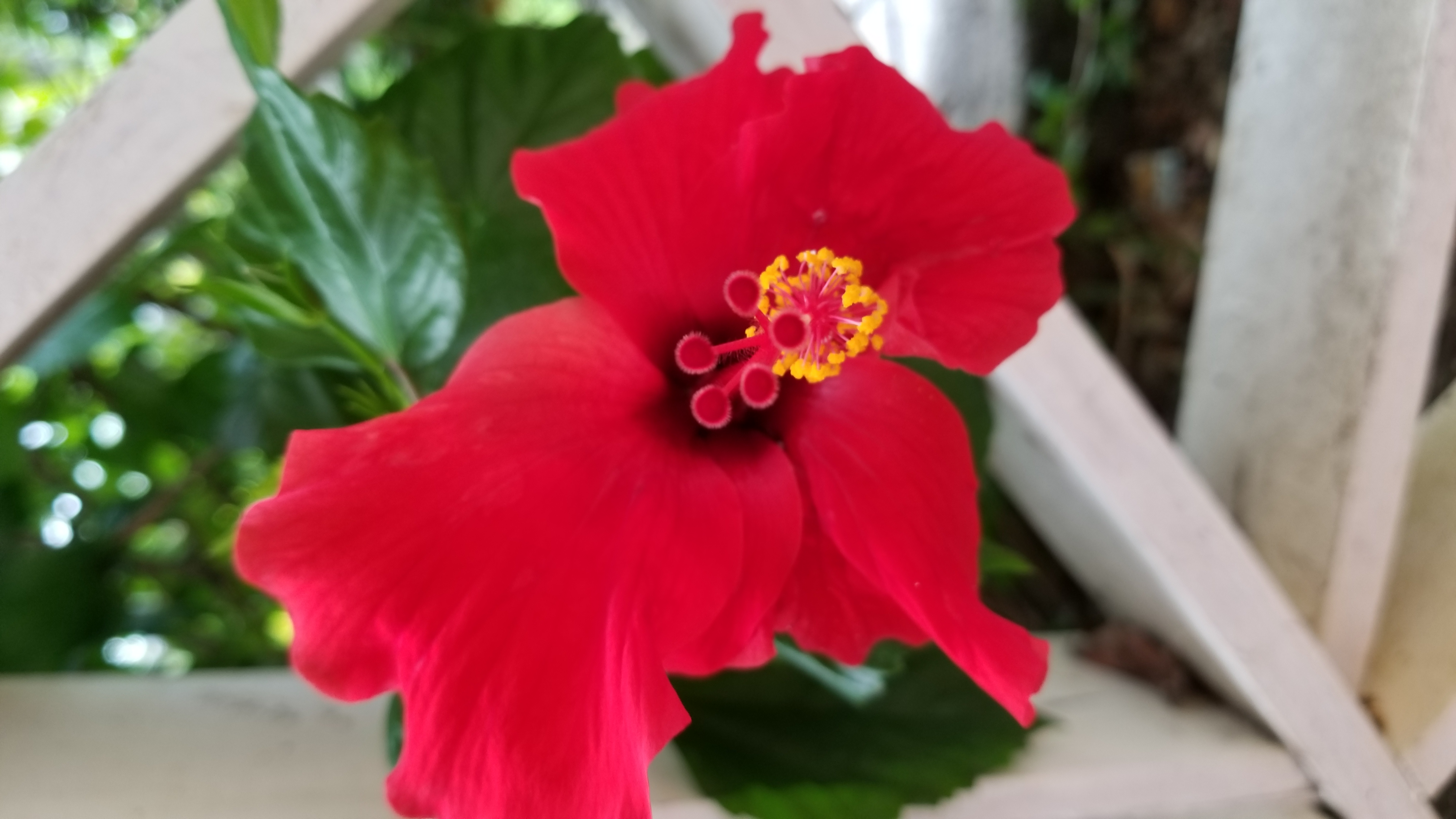 Name:  20180215_081821.jpg
Views: 924
Size:  1.60 MB