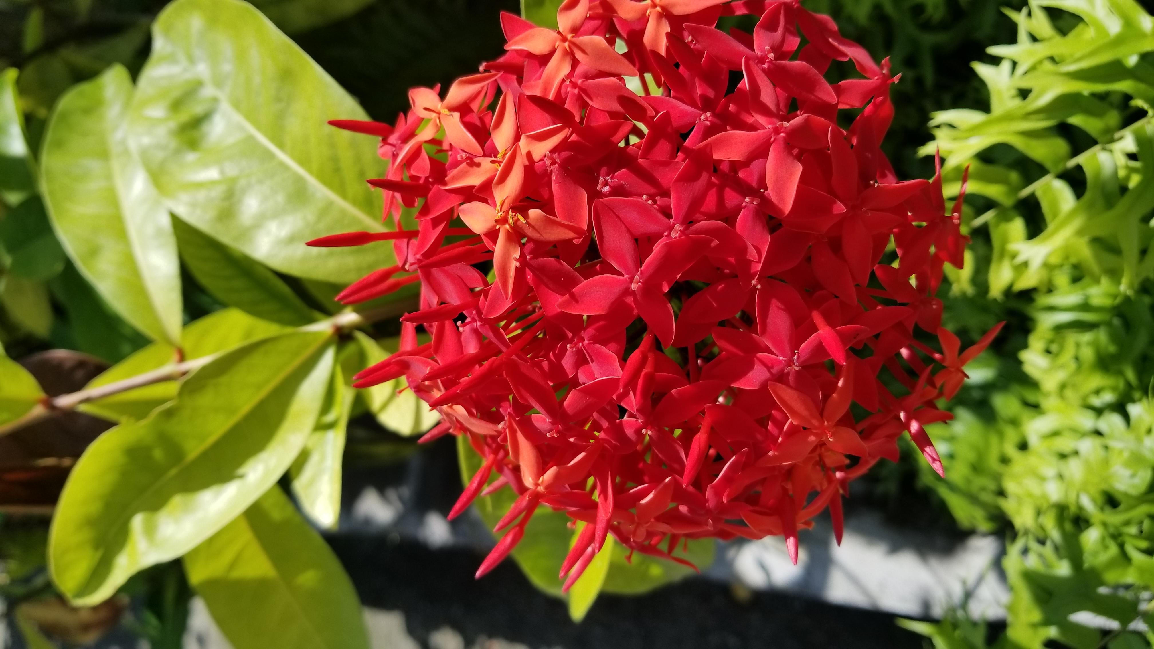 Name:  20180217_114012.jpg
Views: 985
Size:  2.37 MB