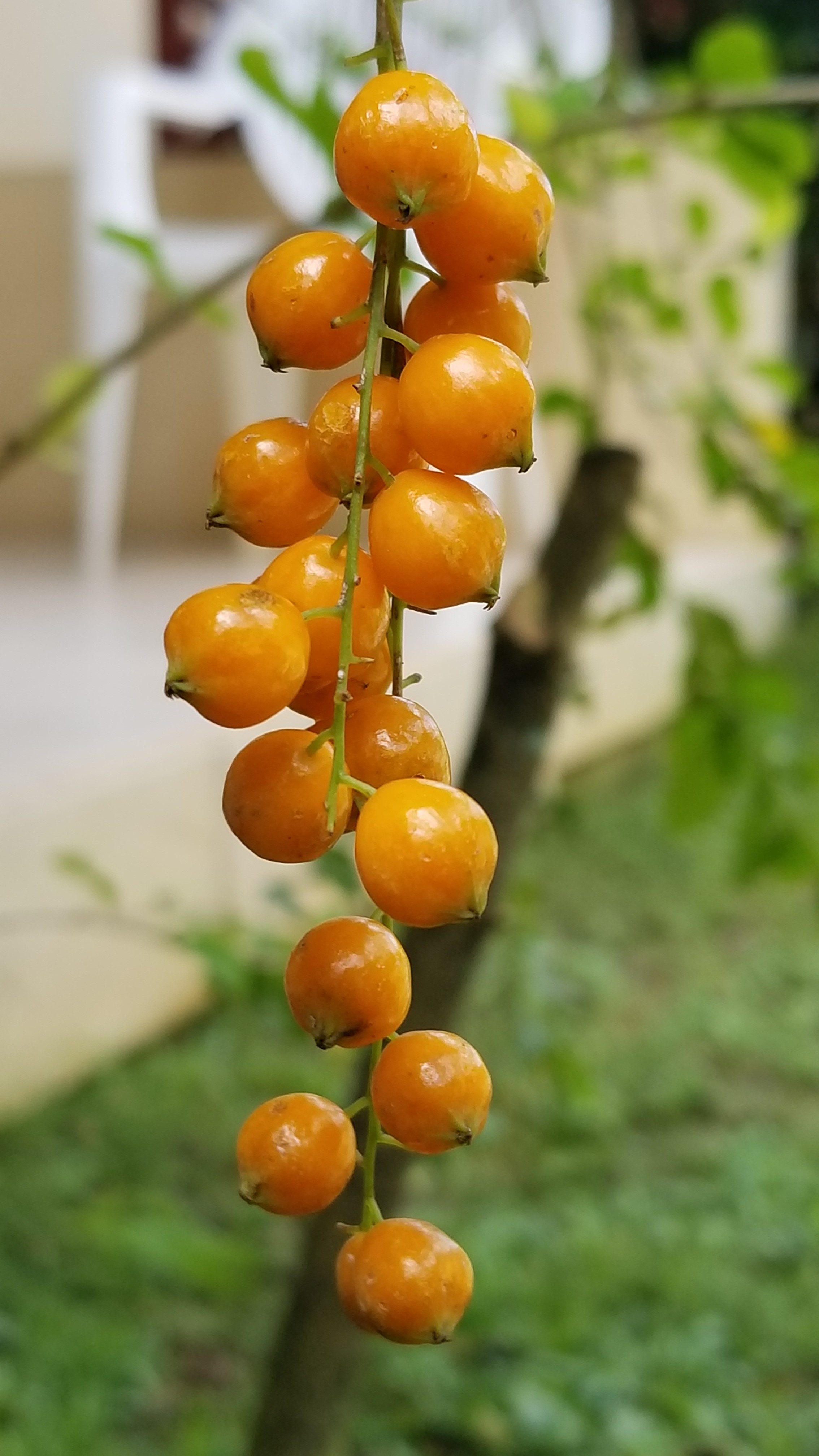 Name:  20180226_101812.jpg
Views: 982
Size:  874.6 KB