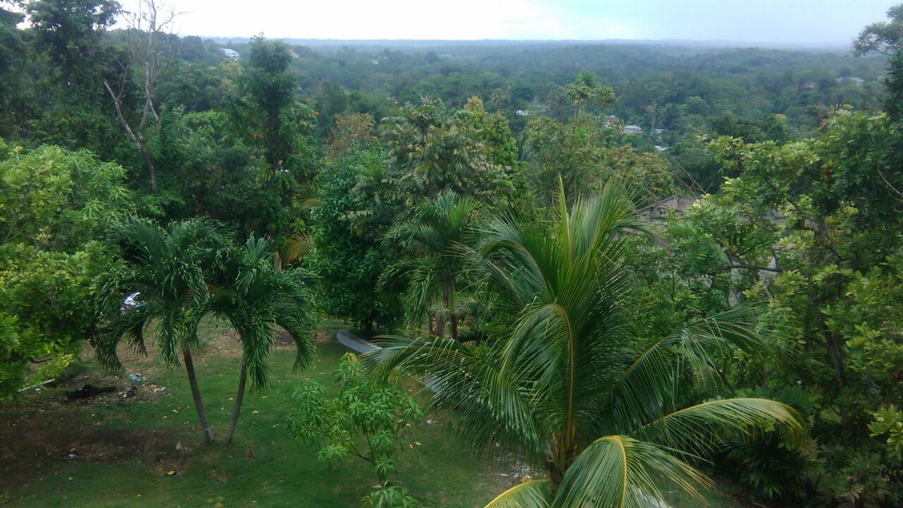 Name:  IMG-20180413-WA0000.jpg
Views: 547
Size:  192.4 KB