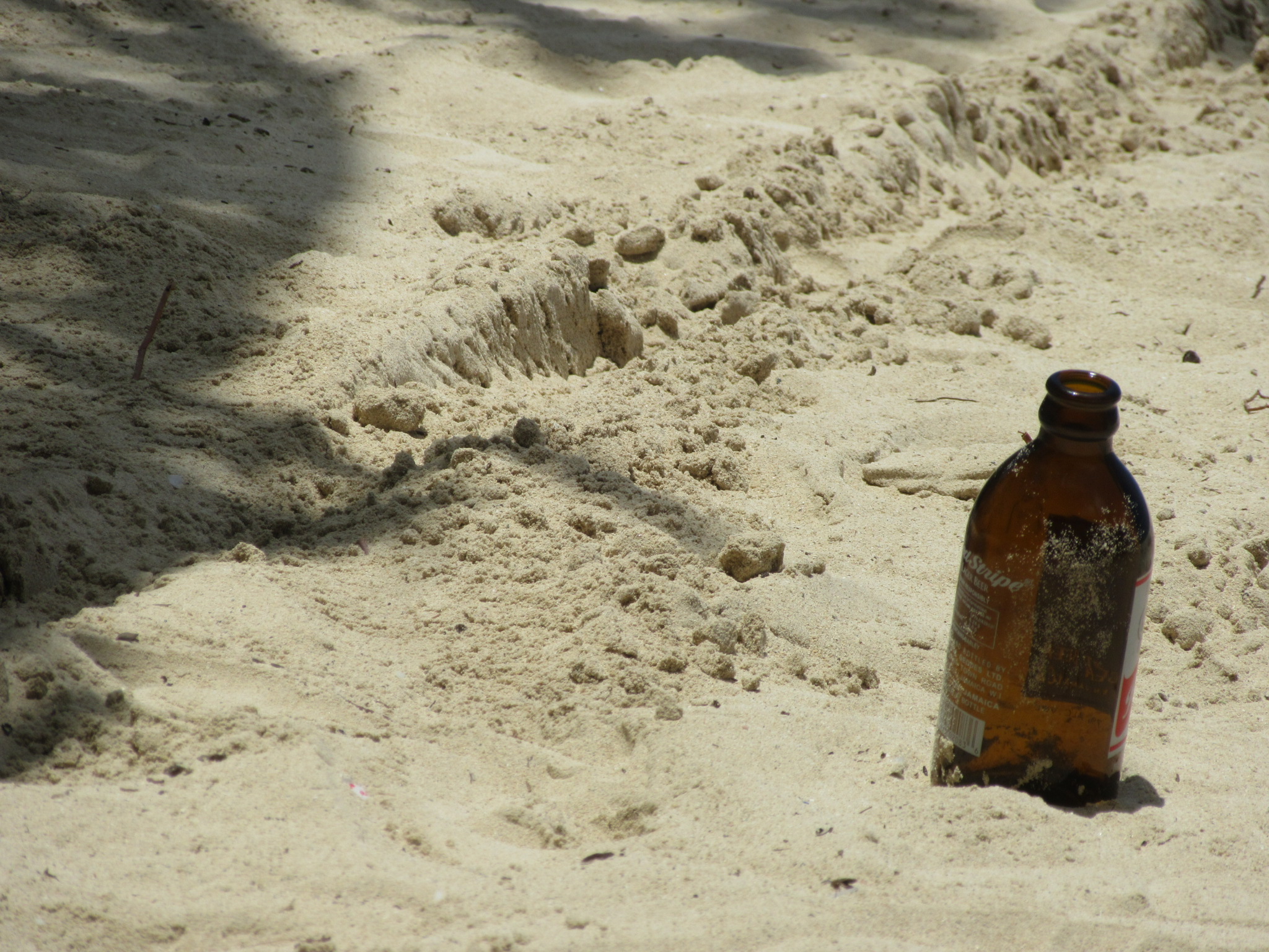 Name: 20180422115848.JPG
Views: 672
Size: 1.01 MB