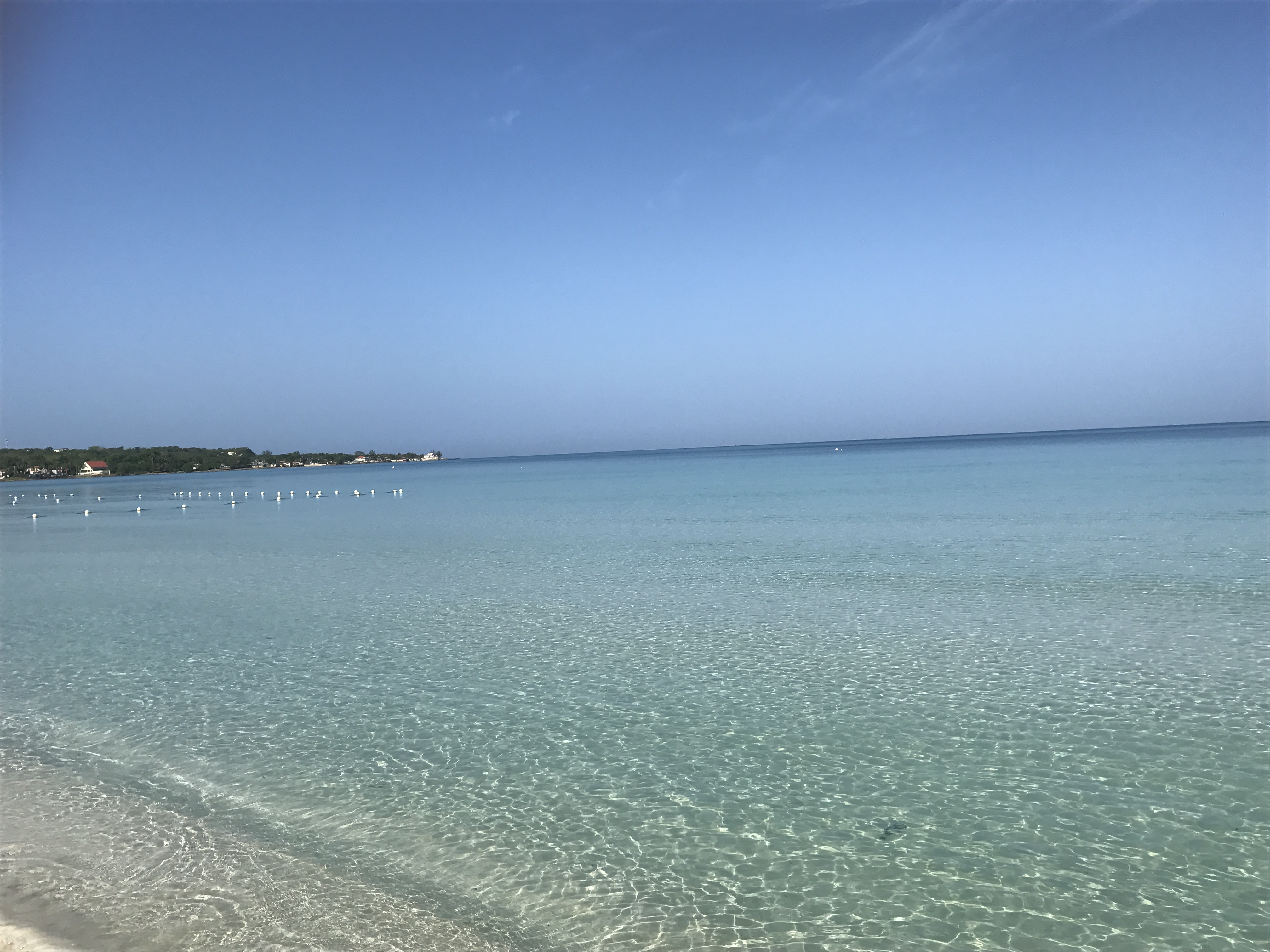 Name:  IMG_2636.JPG
Views: 1198
Size:  2.02 MB