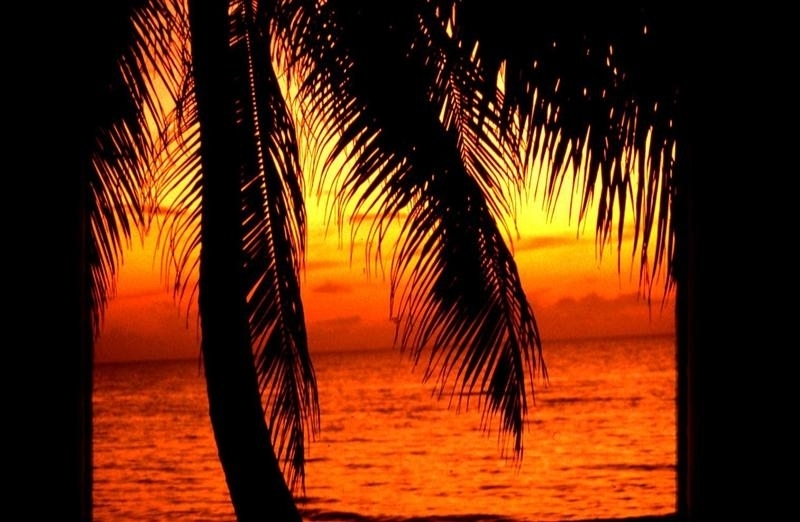 Name:  Happy Moments and Irie Feelings.JPG
Views: 335
Size:  235.1 KB