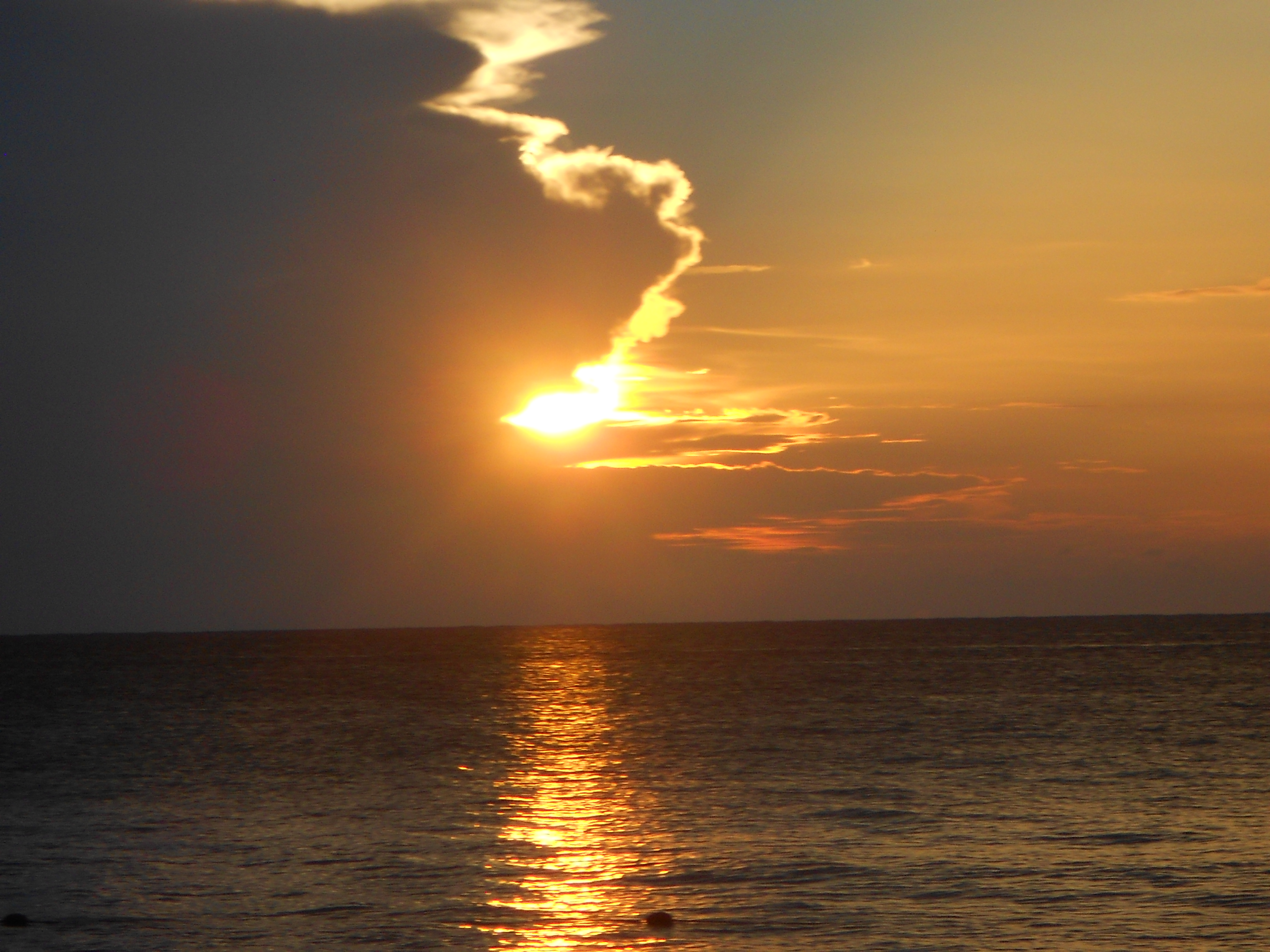Name:  DSCN0709.JPG
Views: 1309
Size:  3.13 MB
