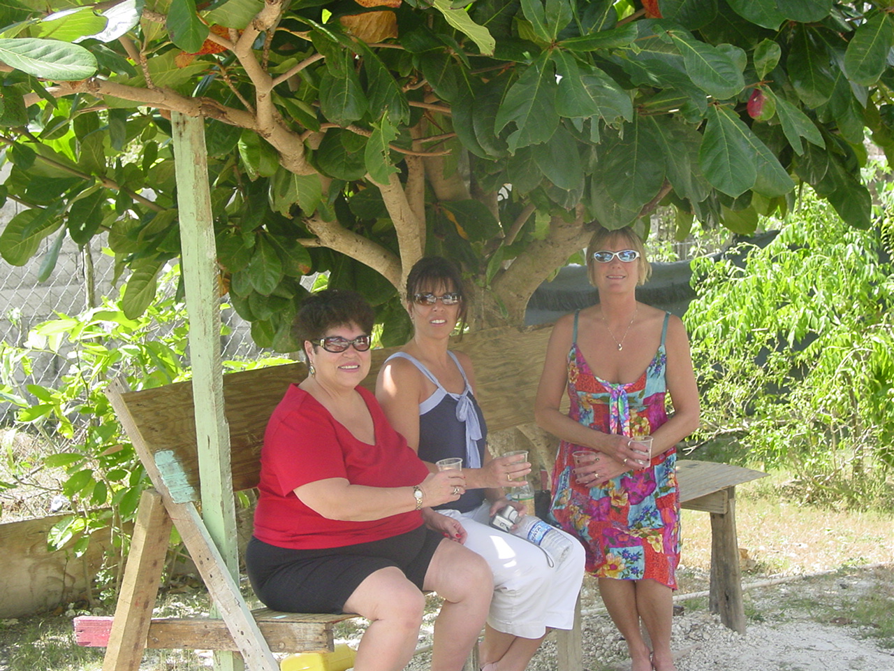 Name:  Jamaica 2008 130.jpg
Views: 644
Size:  604.9 KB