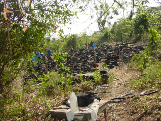 Name:  Jamaica 2008 067.jpg
Views: 640
Size:  161.2 KB