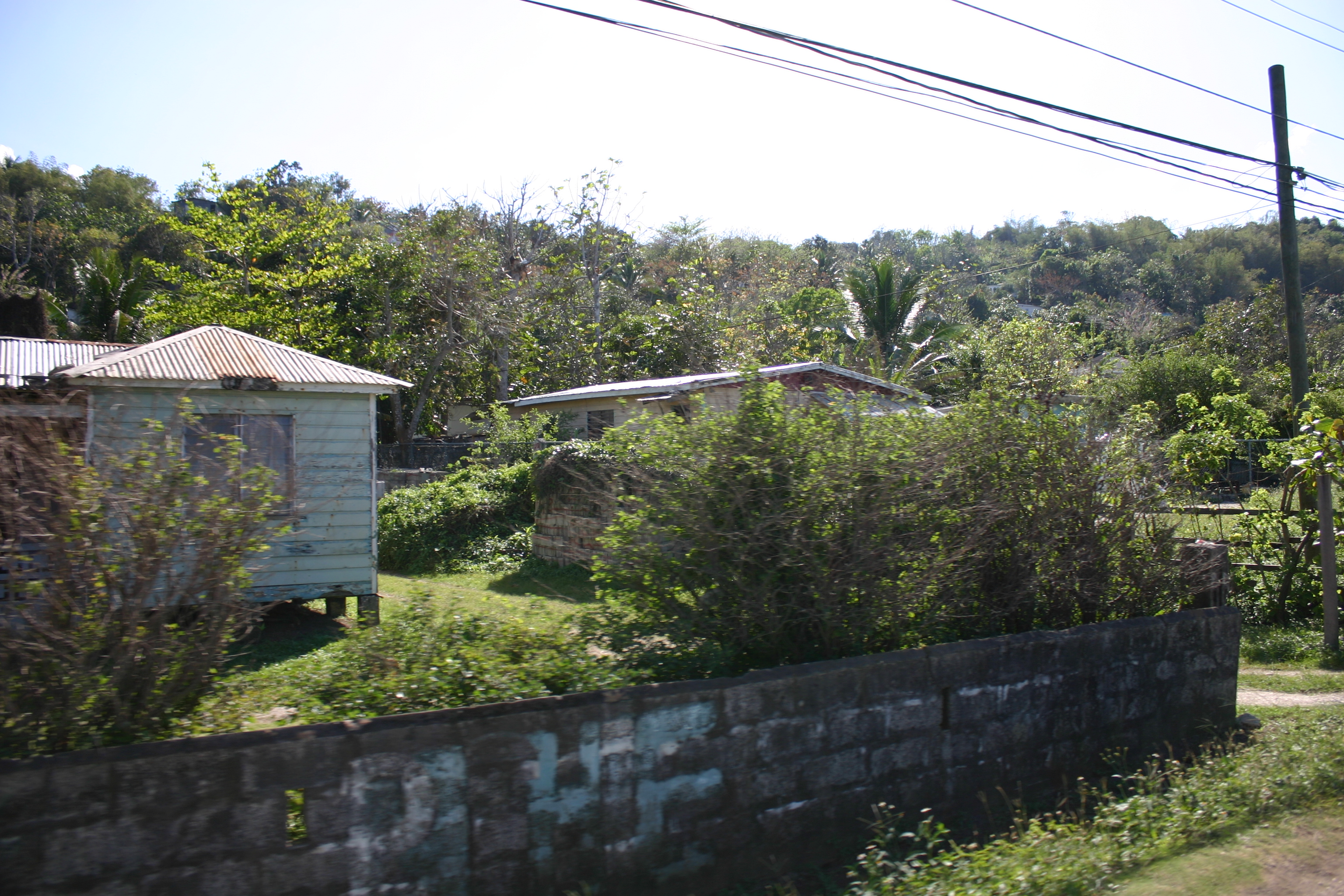 Name:  Ja 2010 (2).jpg
Views: 1035
Size:  3.38 MB