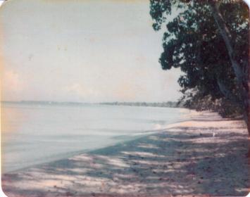Name:  '78 Beach.jpg
Views: 575
Size:  13.4 KB