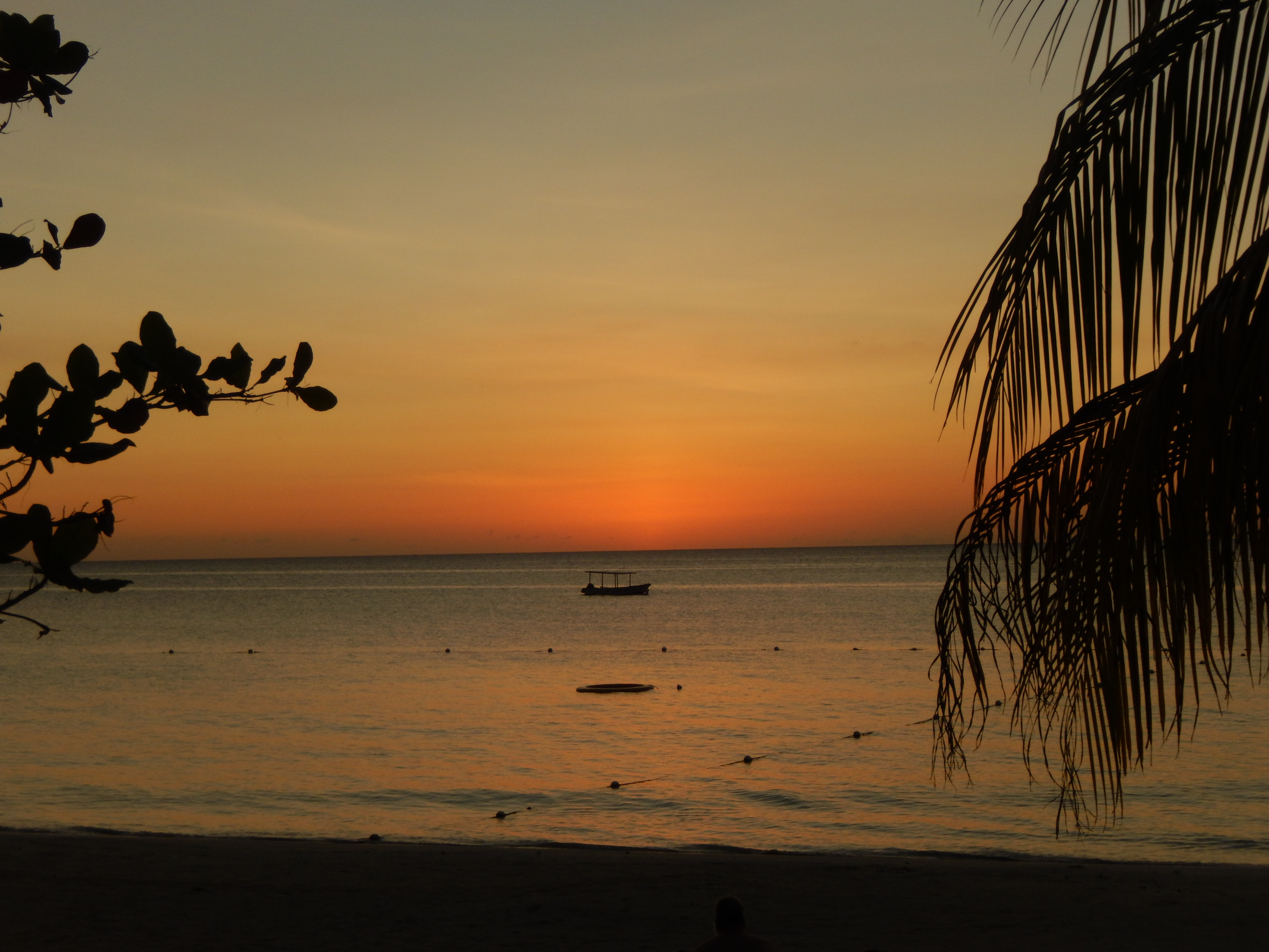 Name:  DSCN3814.JPG
Views: 969
Size:  3.28 MB