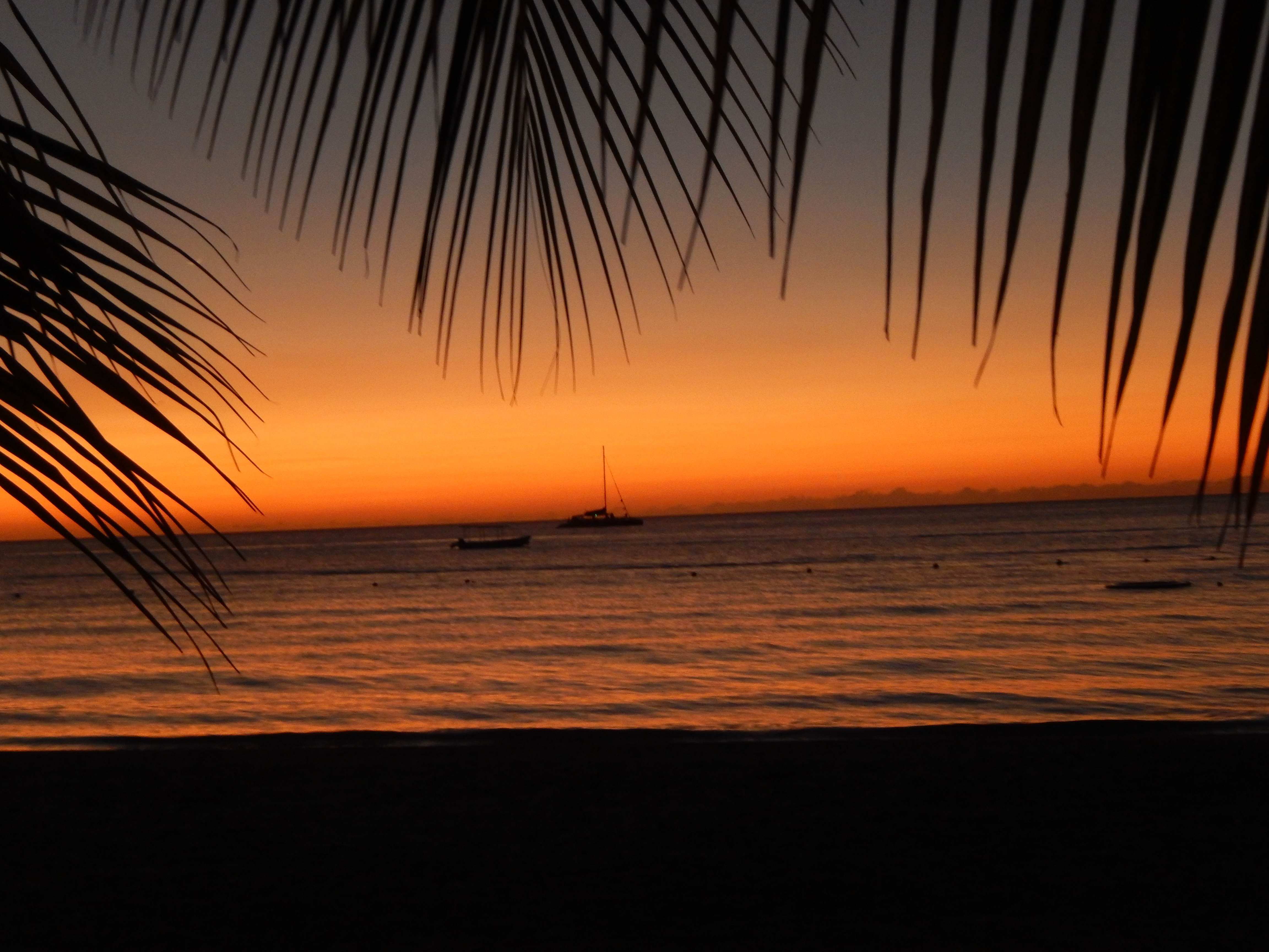 Name:  DSCN3847.JPG
Views: 987
Size:  3.53 MB