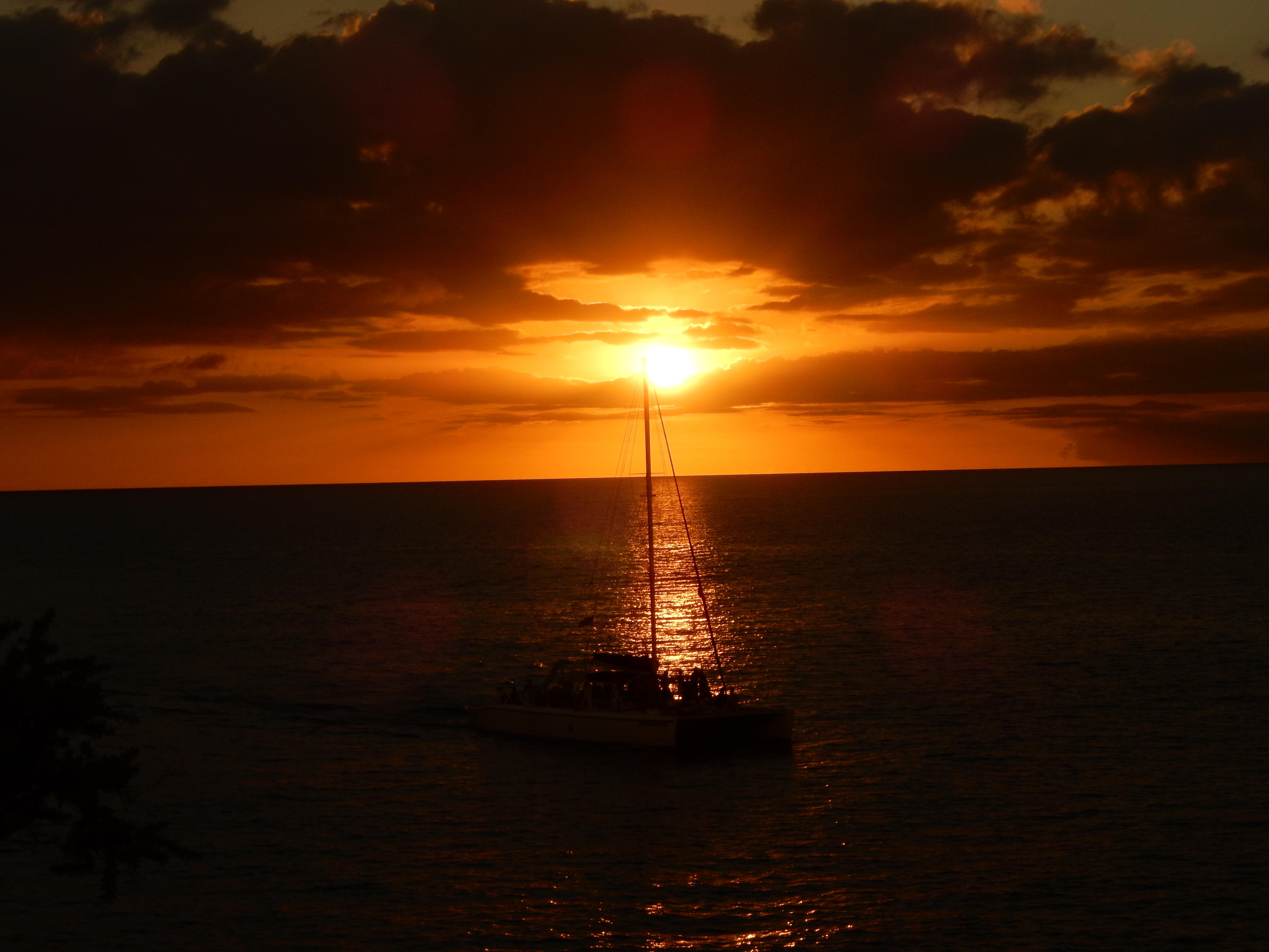 Name:  DSCN4065.JPG
Views: 612
Size:  3.18 MB