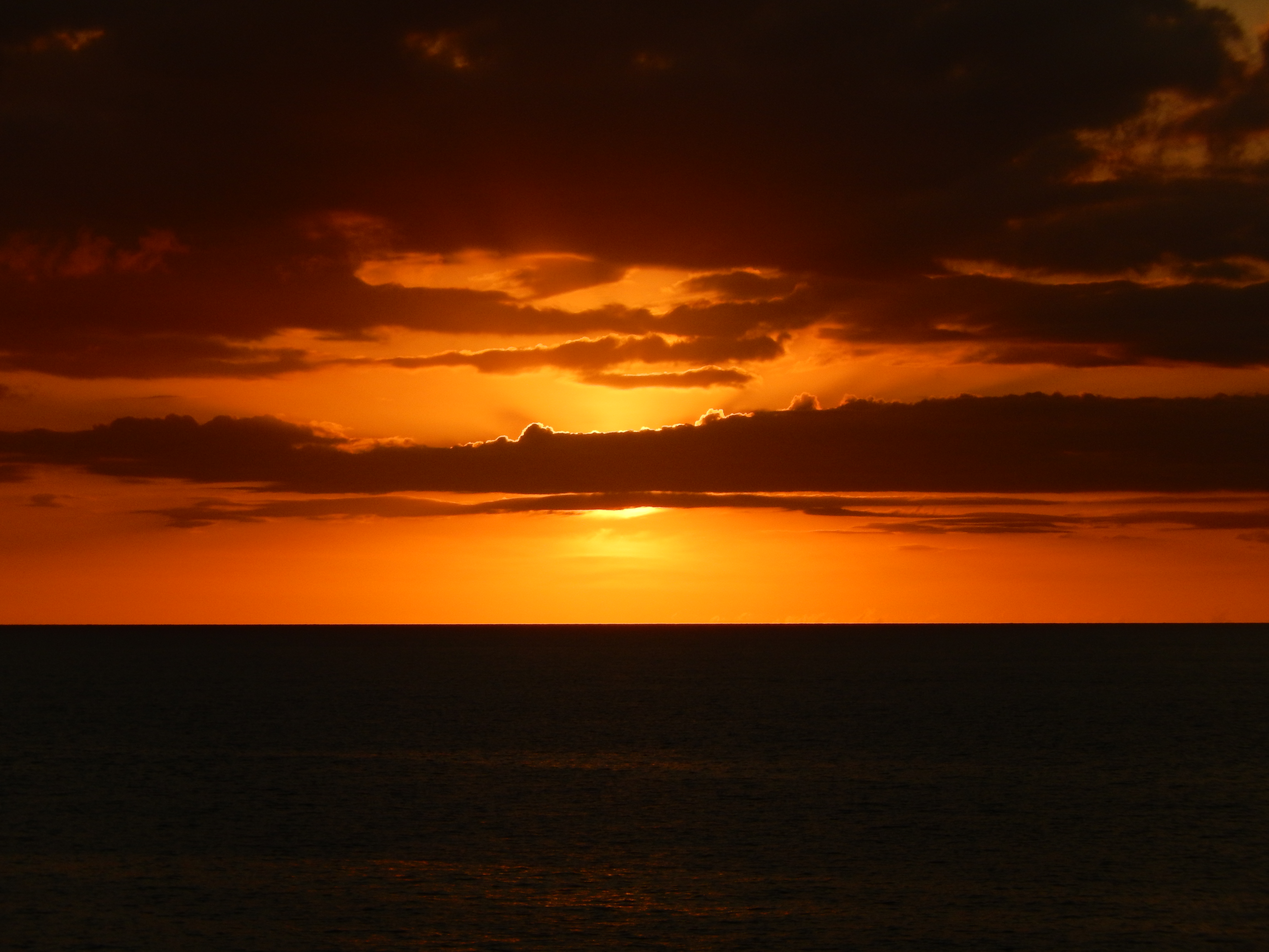 Name:  DSCN4071.JPG
Views: 593
Size:  3.11 MB
