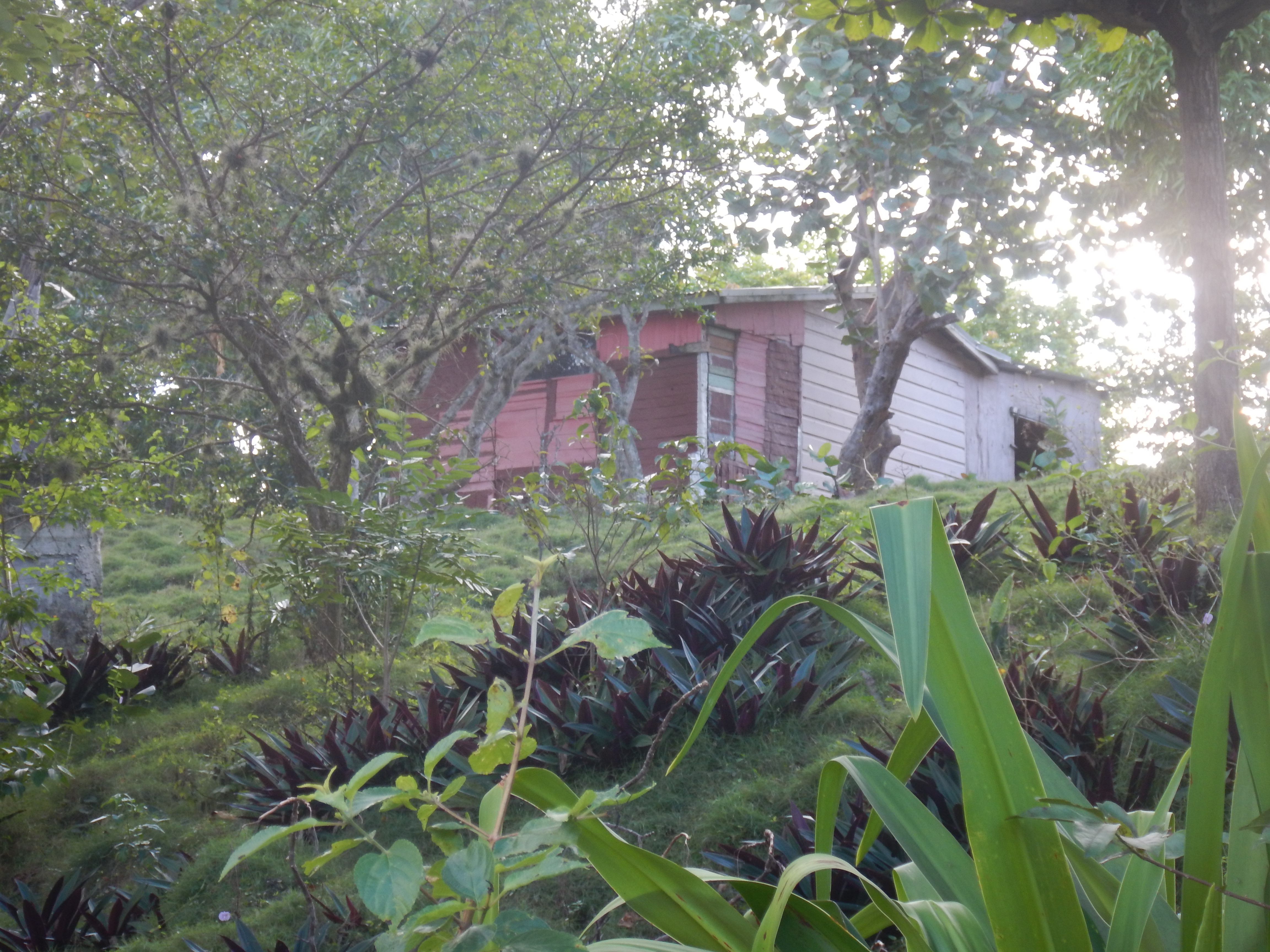Name:  DSCN0697.JPG
Views: 1924
Size:  3.30 MB