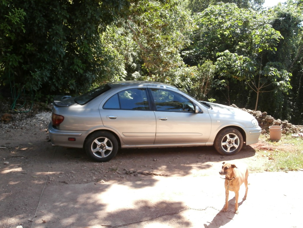 Name:  Sylphy.JPG
Views: 500
Size:  259.8 KB