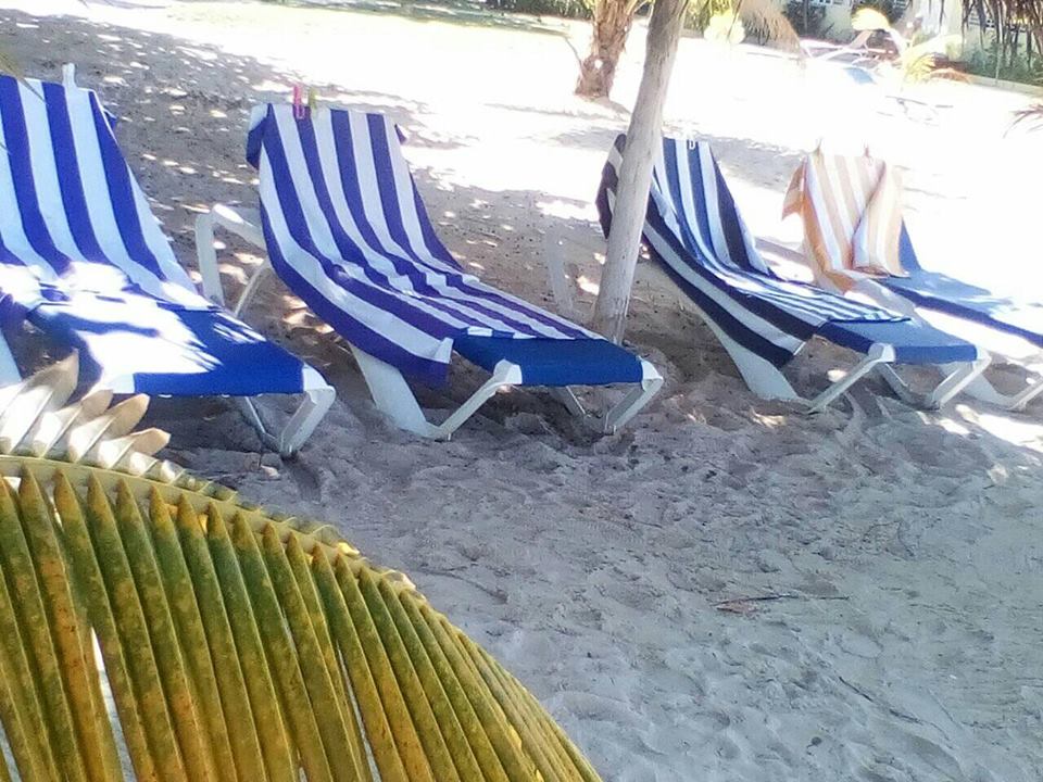 Name:  Beach chairs with towels.jpg
Views: 819
Size:  129.1 KB