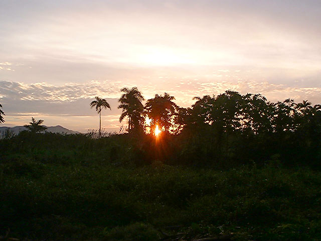Name:  nn080102.jpg
Views: 704
Size:  54.8 KB