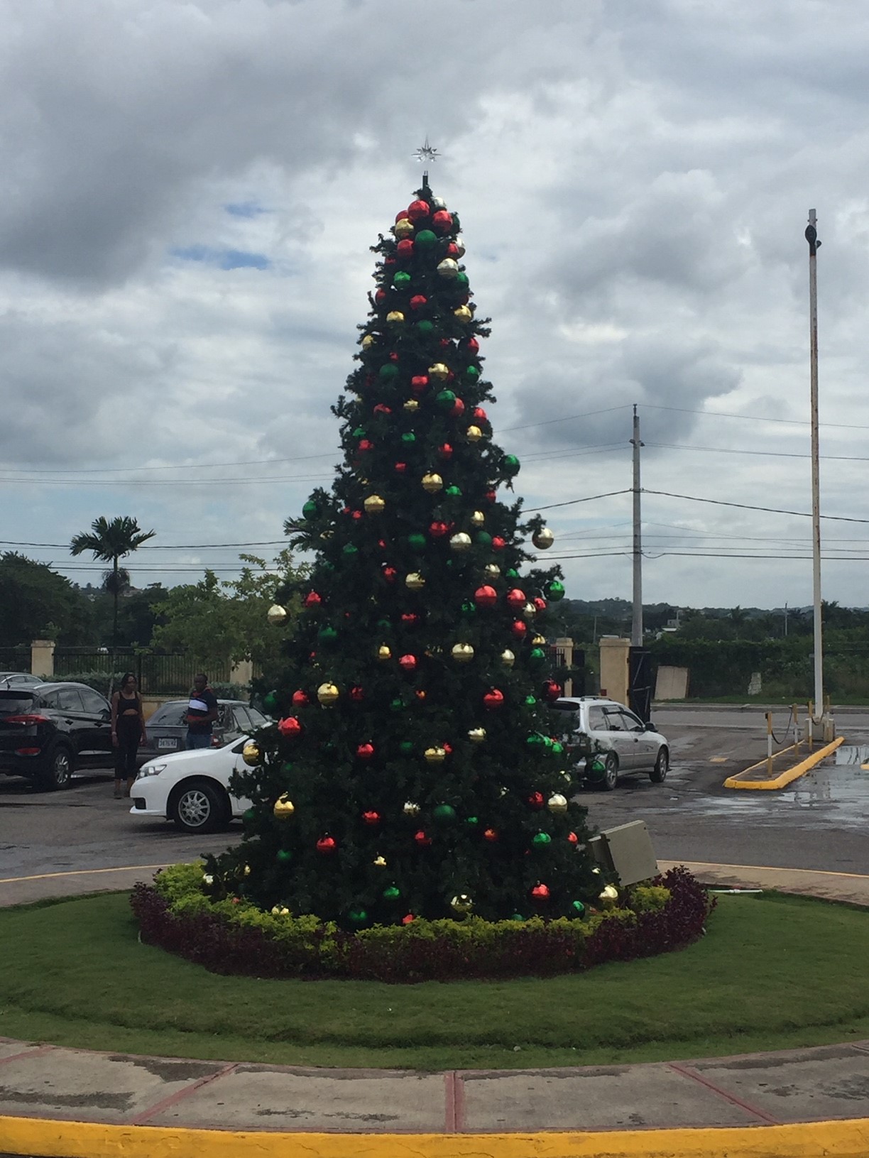 Name:  Mega Mart Tree.JPG
Views: 576
Size:  381.3 KB