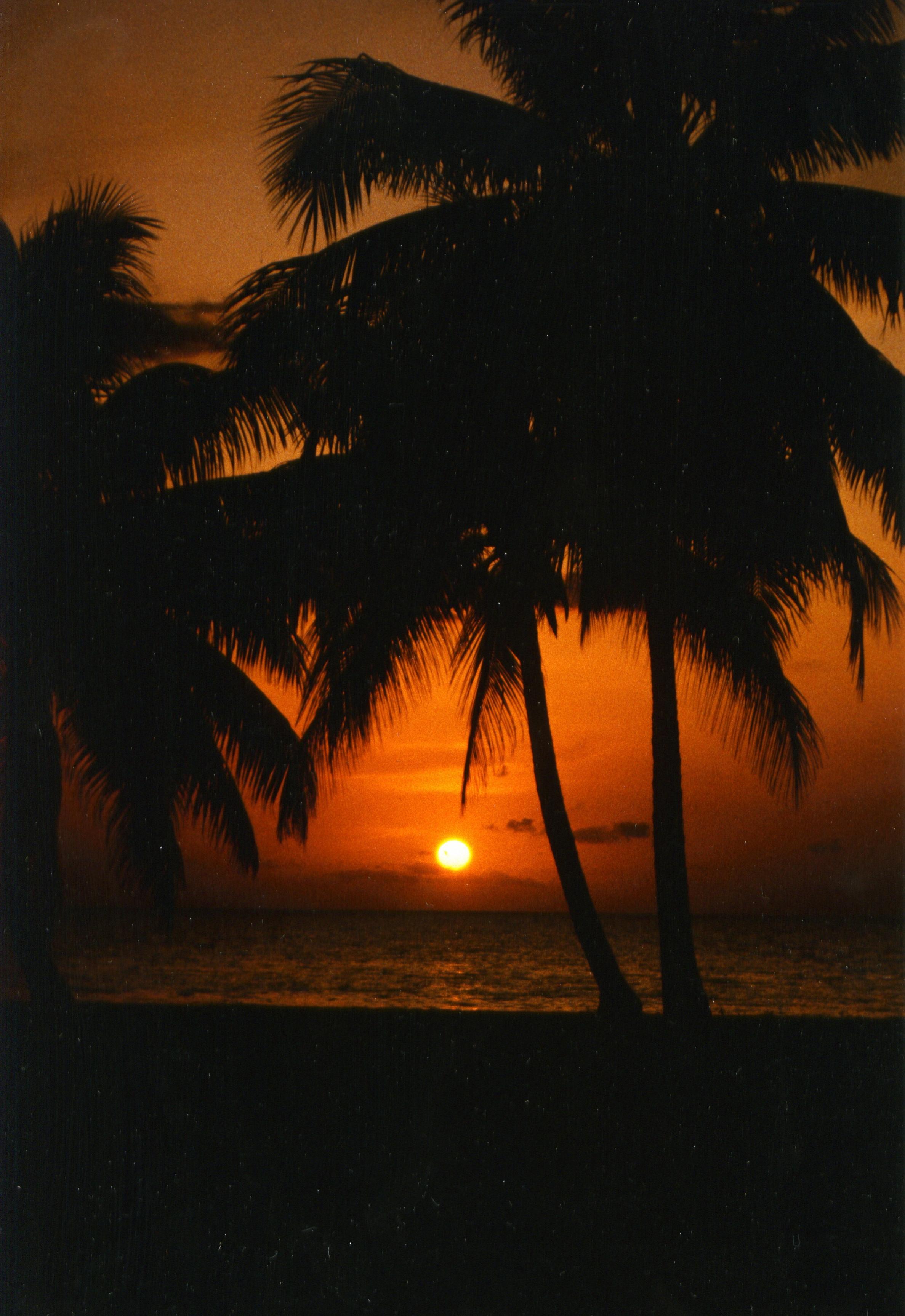 Name:  Negril Sunset.jpg
Views: 707
Size:  658.8 KB