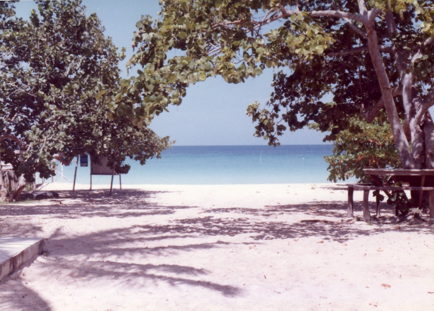 Name:  Negril Beach.JPG
Views: 979
Size:  776.7 KB