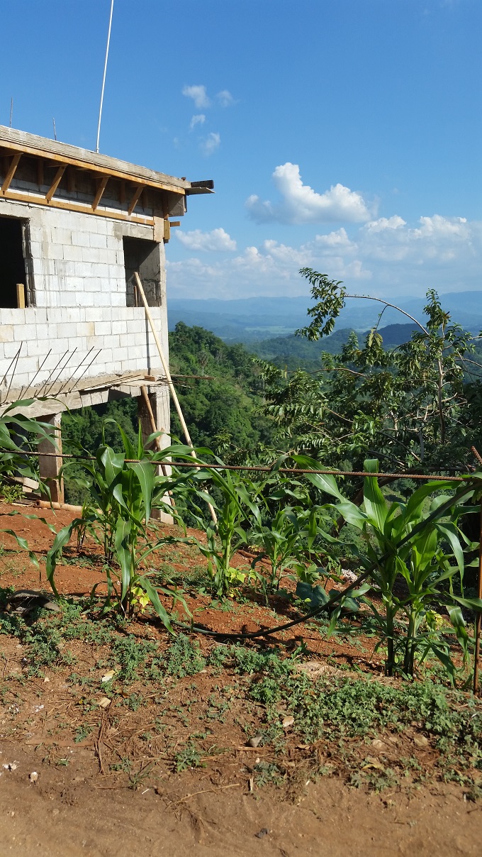 Name:  house.jpg
Views: 706
Size:  422.5 KB