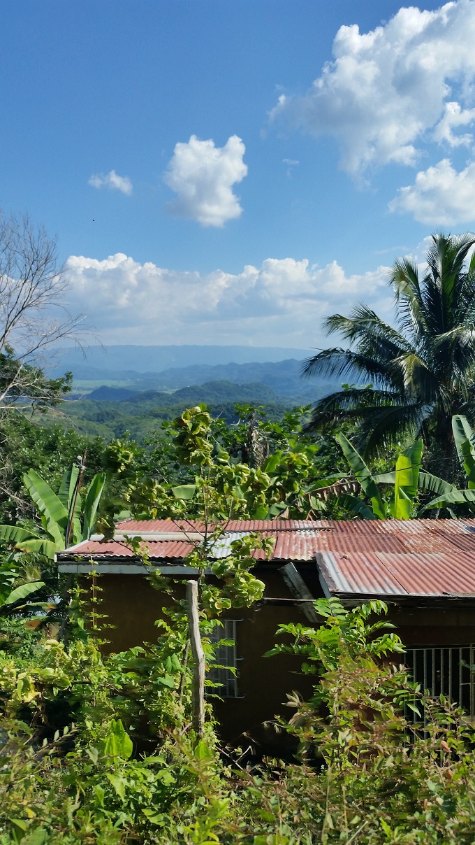 Name:  house2.jpg
Views: 713
Size:  385.6 KB