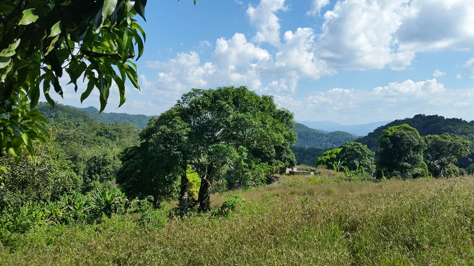Name:  acc7.jpg
Views: 577
Size:  158.3 KB