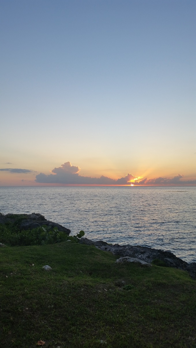 Name:  3 dives.jpg
Views: 773
Size:  221.3 KB